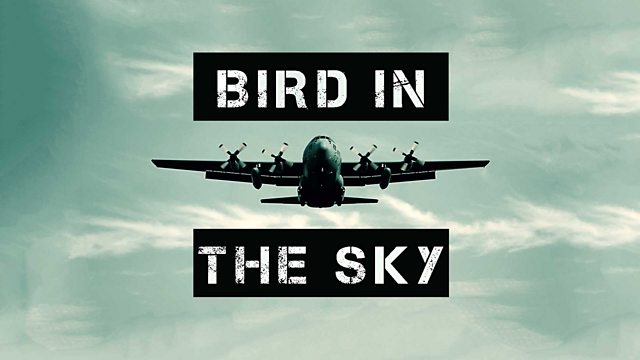 Bird in the Sky 1